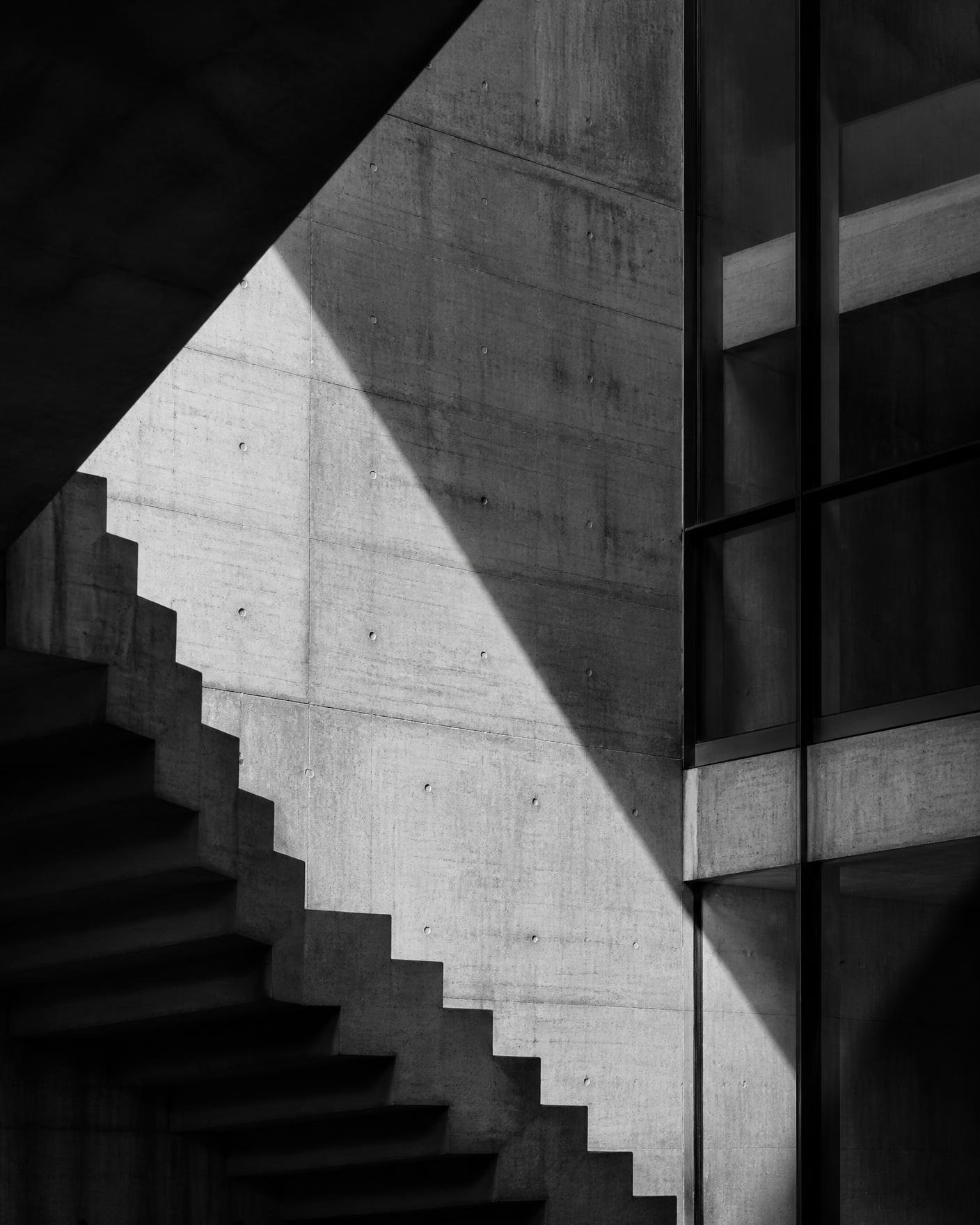 Monochrome architectural study of a concrete staircase and glass facade